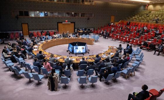 安理会就苏丹和南苏丹局势举行的会议全景。